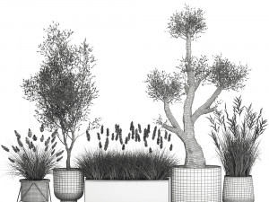 outdoor plants in a rust flowerpot for the interior 1000 Modello 3D