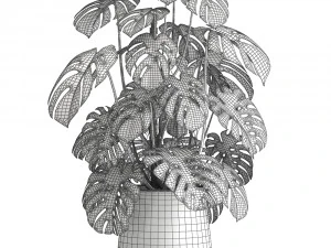 monstera in a rust pot for the interior 1001 3D Model