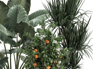 houseplants in a flowerpot for the interior 1002 3D Model