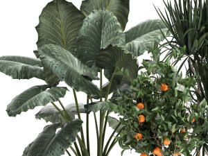 houseplants in a flowerpot for the interior 1002 3D Model