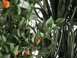 houseplants in a flowerpot for the interior 1002 3D Model