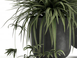 houseplants in a flowerpot for the interior 1002 3D Model