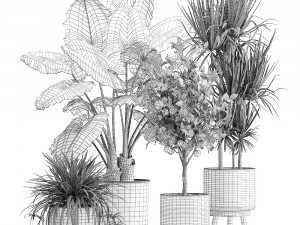 houseplants in a flowerpot for the interior 1002 3D Model