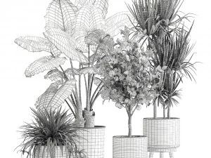 houseplants in a flowerpot for the interior 1002 3D Model