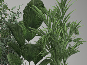 houseplants in a flowerpot for the interior 1003 3D Модель