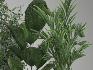 houseplants in a flowerpot for the interior 1003 3D Model