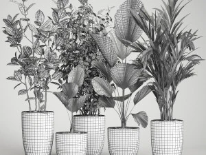 houseplants in a flowerpot for the interior 1003 3D Model