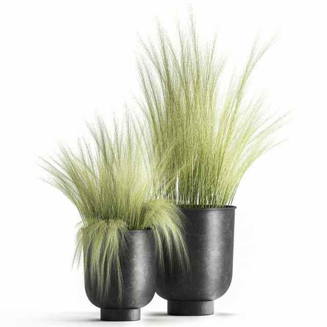 grass in a flowerpot for the interior 1004 3D Model .c4d .max .obj .3ds .fbx .stl .blend 