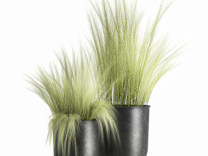 grass in a flowerpot for the interior 1004 3D Model