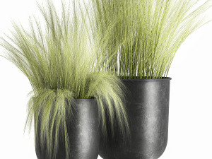 grass in a flowerpot for the interior 1004 3D Model