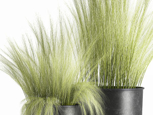 grass in a flowerpot for the interior 1004 3D Model
