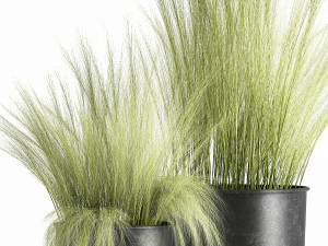 grass in a flowerpot for the interior 1004 3D Model