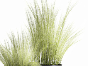 grass in a flowerpot for the interior 1004 3D Model