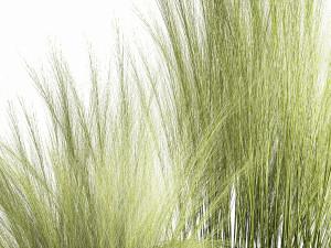 grass in a flowerpot for the interior 1004 3D Model