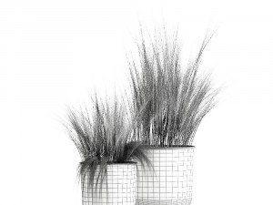 grass in a flowerpot for the interior 1004 3D Model