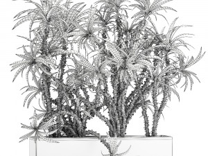 dracaena in a flowerpot for the interior 1008 Model 3D