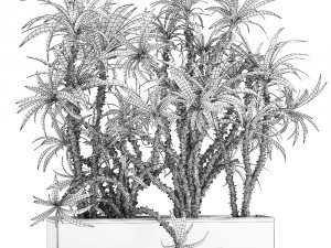 dracaena in a flowerpot for the interior 1008 3D Model
