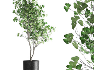decorative tree in a flowerpot for the interior 1011 3Dモデル