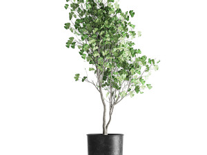 decorative tree in a flowerpot for the interior 1011 3D Модель