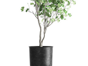 decorative tree in a flowerpot for the interior 1011 3D Модель