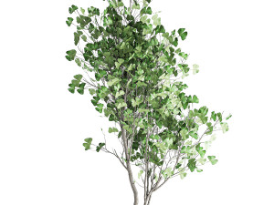decorative tree in a flowerpot for the interior 1011 3D Модель