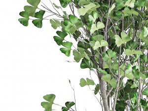 decorative tree in a flowerpot for the interior 1011 3D Модель
