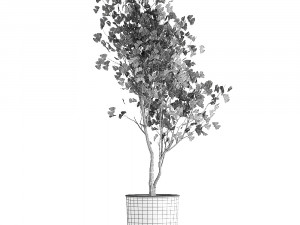 decorative tree in a flowerpot for the interior 1011 3D Модель