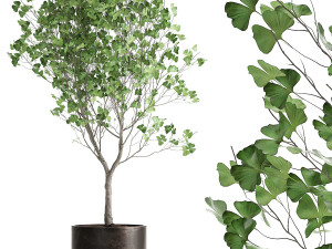 decorative tree in a flowerpot for the interior 1012 3D Model