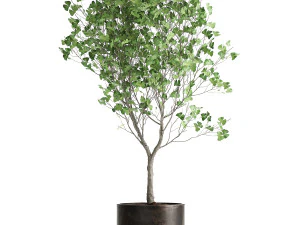 decorative tree in a flowerpot for the interior 1012 3D Model