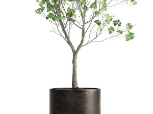 decorative tree in a flowerpot for the interior 1012 3D Model