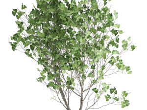 decorative tree in a flowerpot for the interior 1012 Model 3D