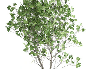 decorative tree in a flowerpot for the interior 1012 3D Model