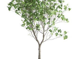 decorative tree in a flowerpot for the interior 1012 Model 3D