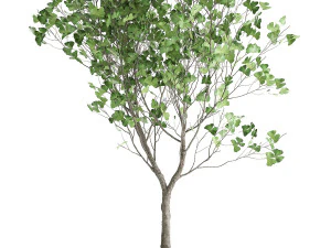 decorative tree in a flowerpot for the interior 1012 3D Model