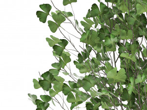 decorative tree in a flowerpot for the interior 1012 Model 3D