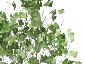 decorative tree in a flowerpot for the interior 1012 Model 3D