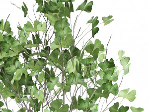 decorative tree in a flowerpot for the interior 1012 3D Model