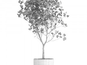 decorative tree in a flowerpot for the interior 1012 Model 3D