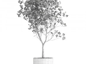 decorative tree in a flowerpot for the interior 1012 3D Model