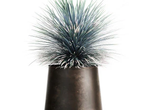 yucca rostrata in a flowerpot for the interior 1014 3D Model