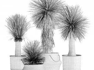 yucca rostrata in a flowerpot for the interior 1015 3D Model
