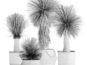 yucca rostrata in a flowerpot for the interior 1015 3D Model
