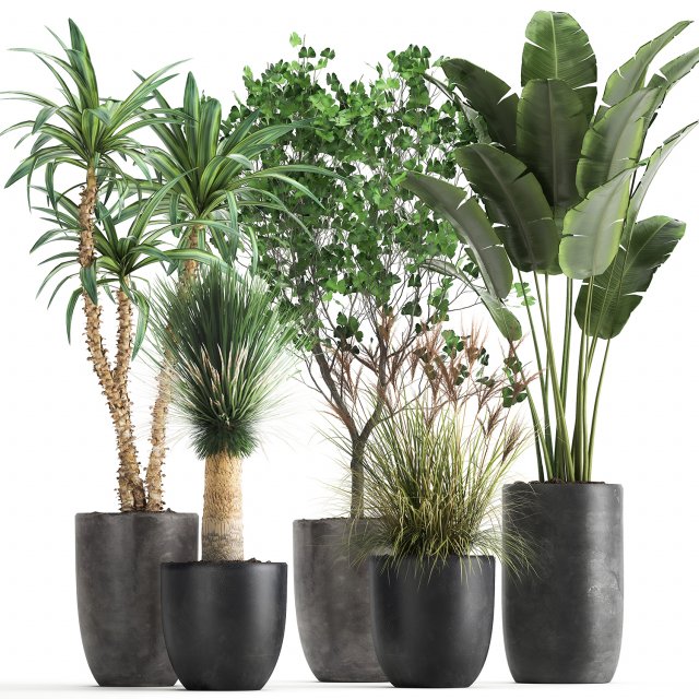 houseplants in a flowerpot for the interior 1016 3D Model .c4d .max .obj .3ds .fbx .stl .blend 