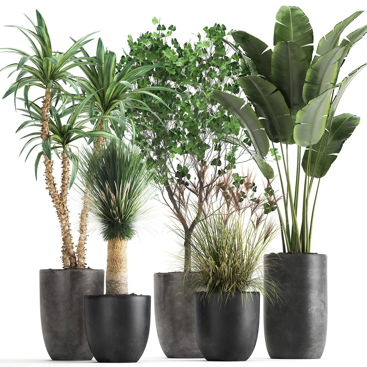 houseplants in a flowerpot for the interior 1016 3D Model .c4d .max .obj .3ds .fbx .stl .blend