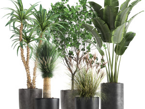 houseplants in a flowerpot for the interior 1016 3D Model