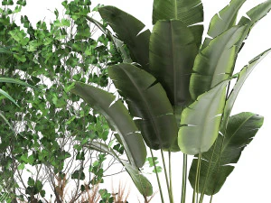 houseplants in a flowerpot for the interior 1016 3D Model
