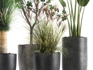houseplants in a flowerpot for the interior 1016 3D Model