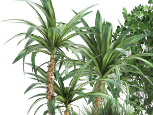 houseplants in a flowerpot for the interior 1016 3D Model