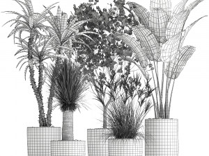 houseplants in a flowerpot for the interior 1016 3D Model