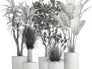houseplants in a flowerpot for the interior 1016 3D Model